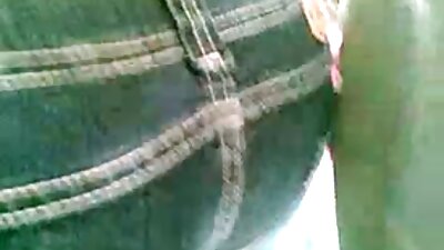 带荨麻的公鸡肥胖